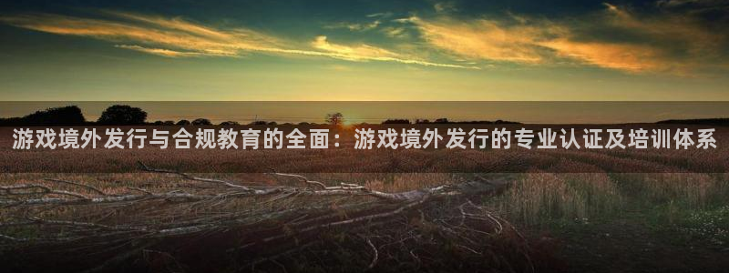 新宝GG娱乐测速官网：游戏境外发行与合规教育的全面：游戏境外发行的专业认证及培训体系