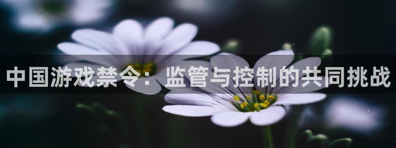 lvnces新宝GG衣服：中国游戏禁令：监管与控制的共同挑战