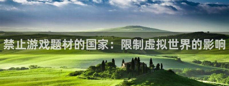 新宝GG子公司怎么样：禁止游戏题材的国家：限制虚拟世界的影响