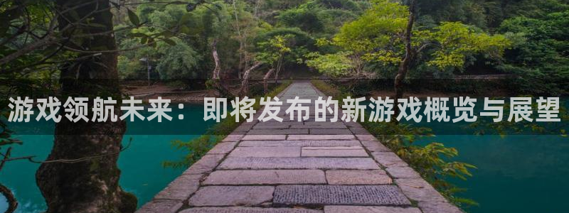 新宝GG运动装有哪些品牌：游戏领航未来：即将发布的新游戏概览与展望