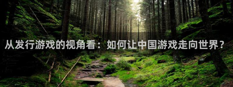 新宝GG官网挂机项目怎么样可靠吗：从发行游戏的视角看：如何让中国游戏走向世界？