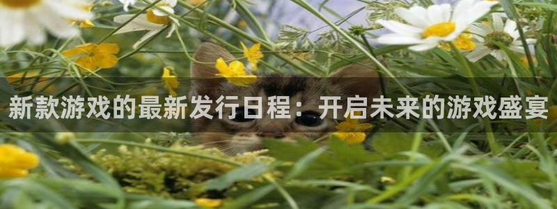 新宝GG啤酒怎么样