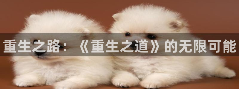 新宝GG官网注册方法视频教程：重生之路：《重生之道》的无限可能