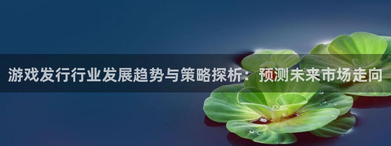 广州新宝GG投资管理顾问有限公司：游戏发行行业发展趋势与策略探析：预测未来市场走向