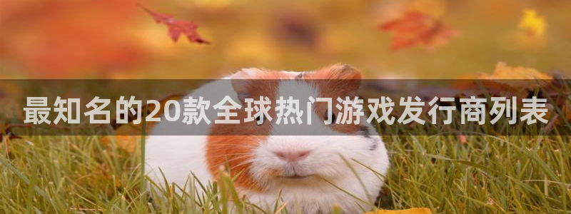 新宝GG是哪个国家的衣服品牌：最知名的20款全球热门游戏发行商列表