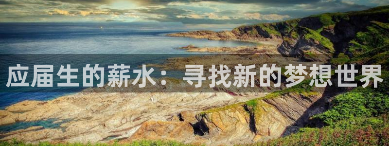 新宝GG子传媒集团ceo：应届生的薪水：寻找新的梦想世界