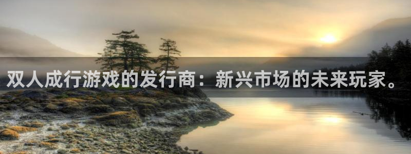 新宝GG官网平台怎么样：双人成行游戏的发行商：新兴市场的未来玩家。