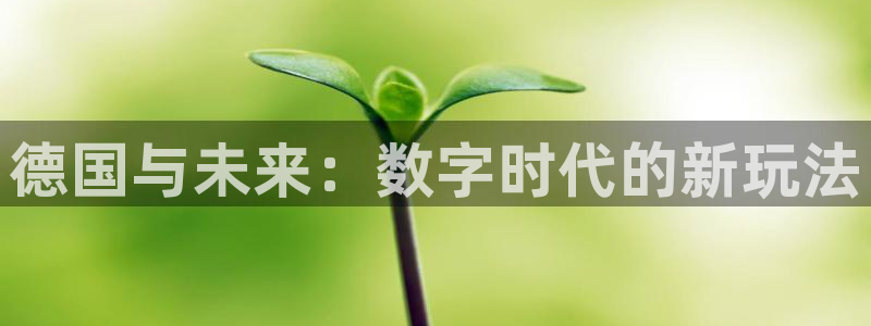 新宝GG电子商务有限公司招聘