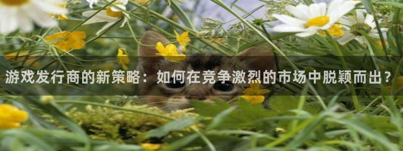 新宝GG的所有小说