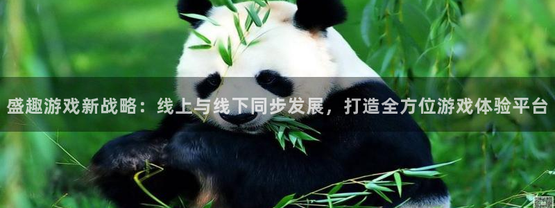 新宝GG官网是境外的吗