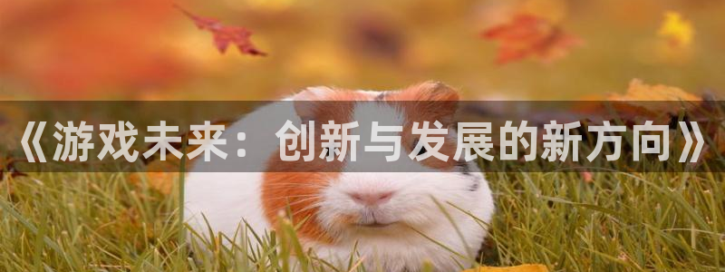 新宝GG官网客服怎么样：《游戏未来：创新与发展的新方向》