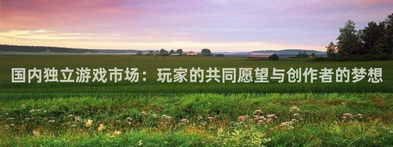 新宝GG官网注册地址在哪里啊：国内独立游戏市场：玩家的共同愿望与创作者的梦想