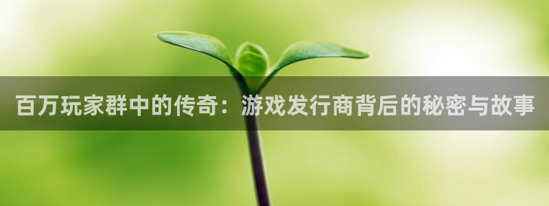 新宝GG官网客服服务怎么样：百万玩家群中的传奇：游戏发行商背后的秘密与故事