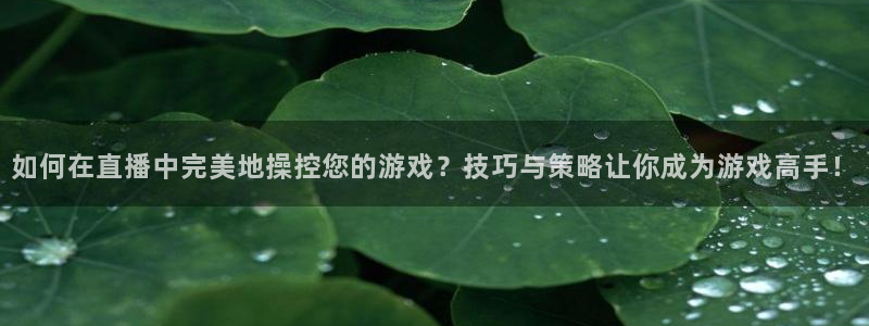 龙门直播在线直播：如何在直播中完美地操控您的游戏？技巧与策略让你成为游戏高手！