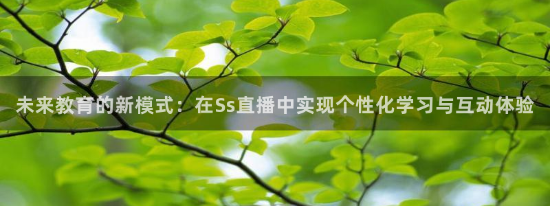 龙门nba免费直播：未来教育的新模式：在Ss直播中实现个性化学习与互动体验