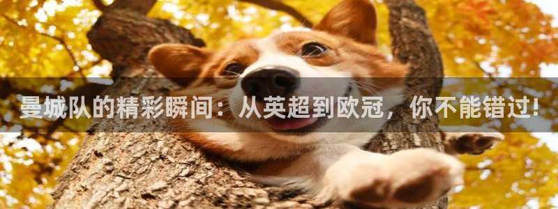 咪咕视频体育直播龙门：曼城队的精彩瞬间：从英超到欧冠，你不能错过!