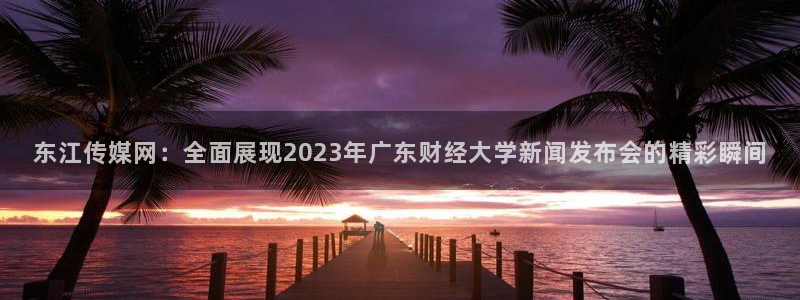 龙门直播app体育：东江传媒网：全面展现2023年广东财经大学新闻发布会的精彩瞬间
