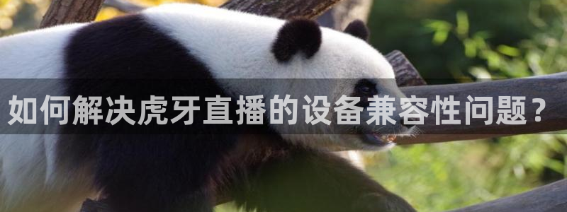 龙门直播间在线观看：如何解决虎牙直播的设备兼容性问题？