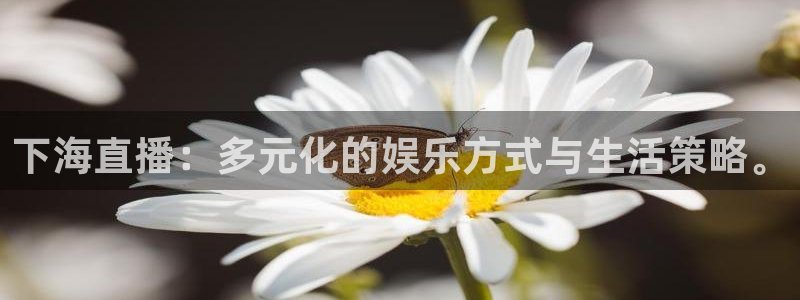龙门镖局超清在线观看：下海直播：多元化的娱乐方式与生活策略。