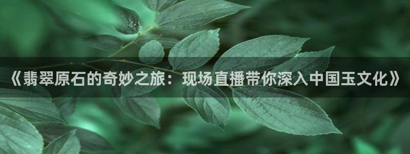 龙门镖局超清在线观看：《翡翠原石的奇妙之旅：现场直播带你深入中国玉文化》