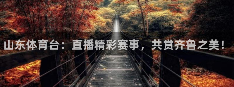 龙门令1至100集免费观看：山东体育台：直播精彩赛事，共赏齐鲁之美！